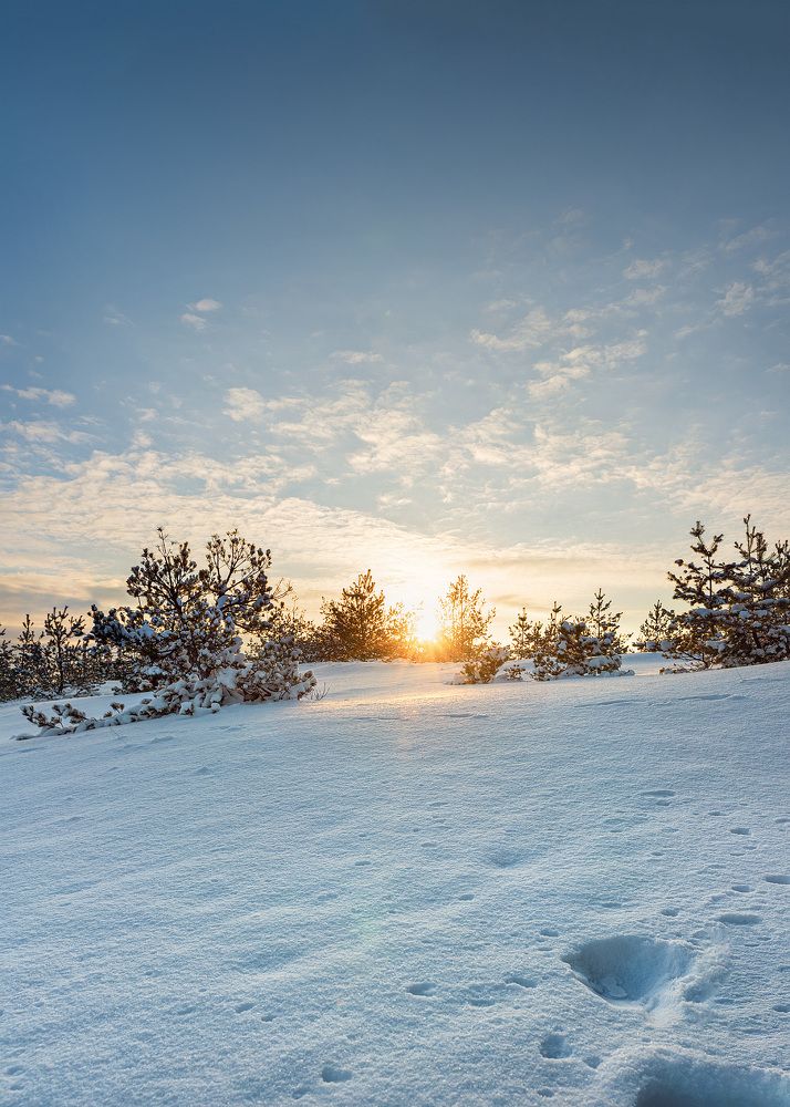 Photograph by Alexander Plaksin