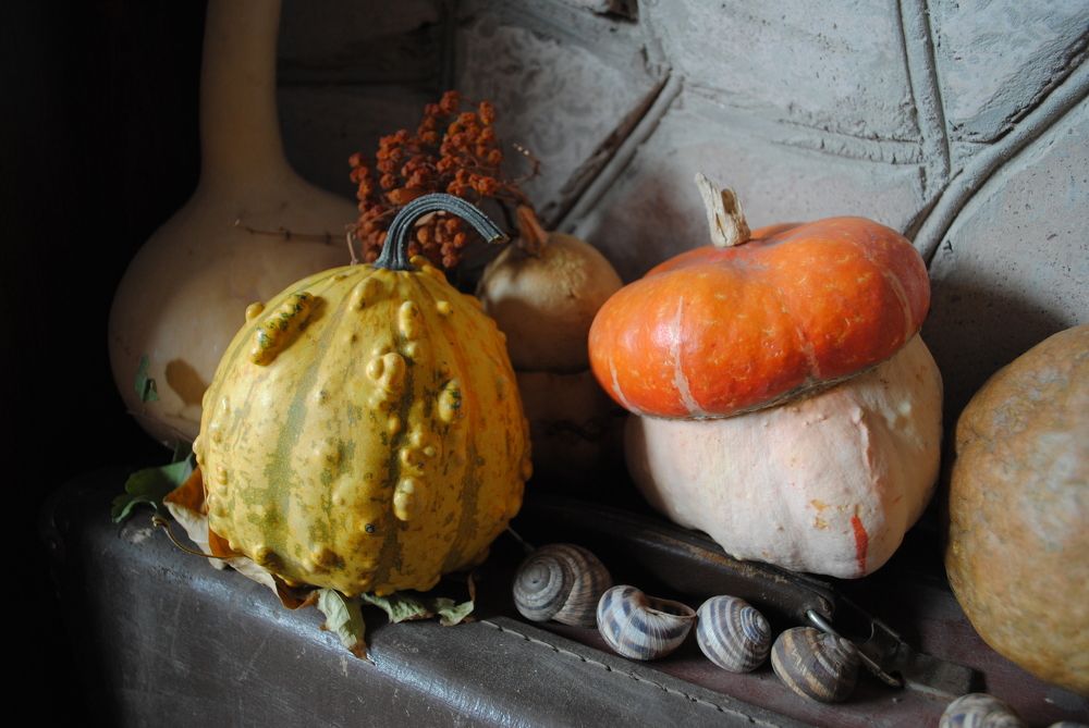 Photograph by Инна Сечко