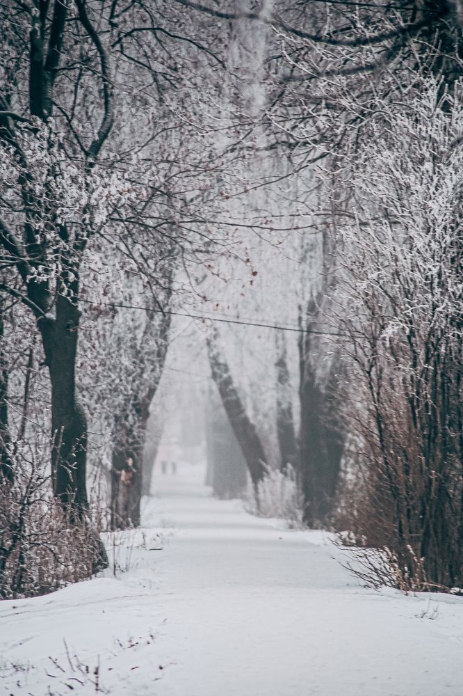 Photograph by Ольга Ермакова