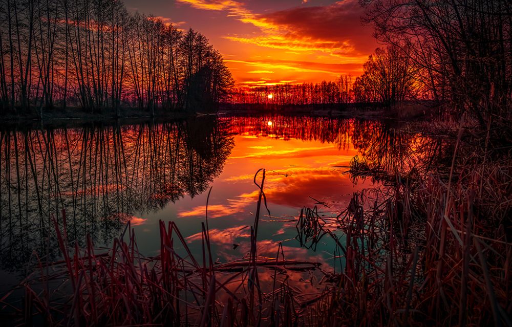 Photograph by Игорь Кляхин