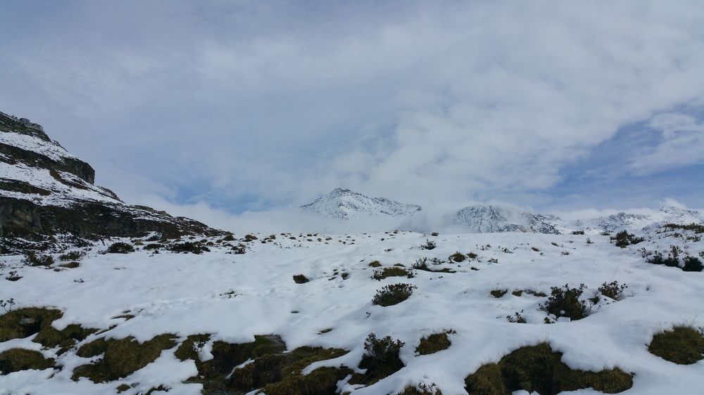 Photograph by Max Ischenko