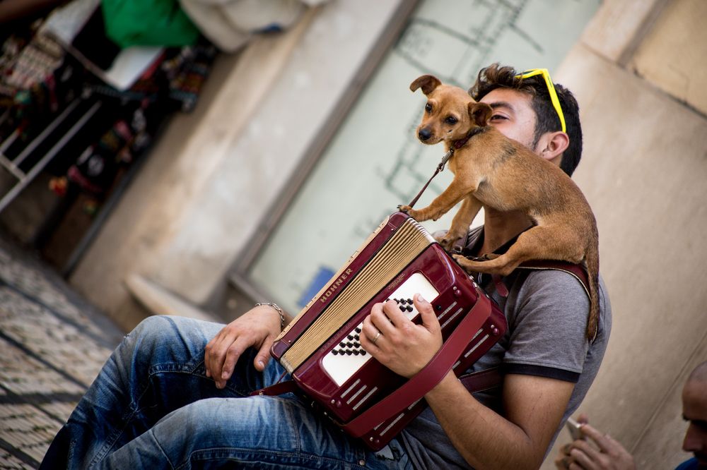 Фотография автора Gabriel de Araujo Almeida