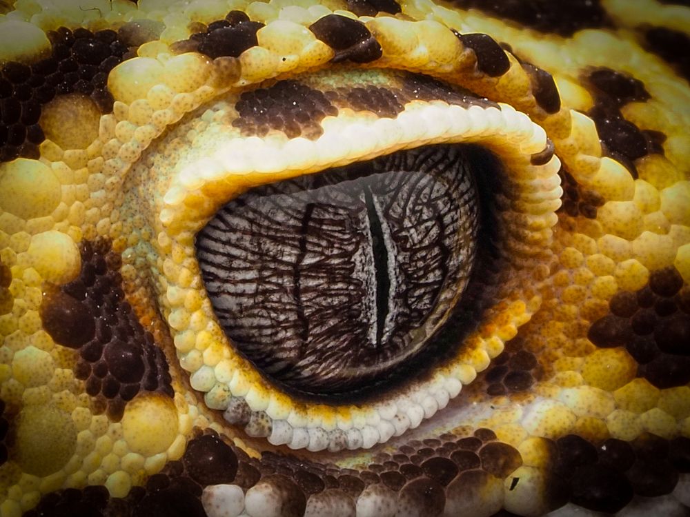 Photograph by Endra Agust