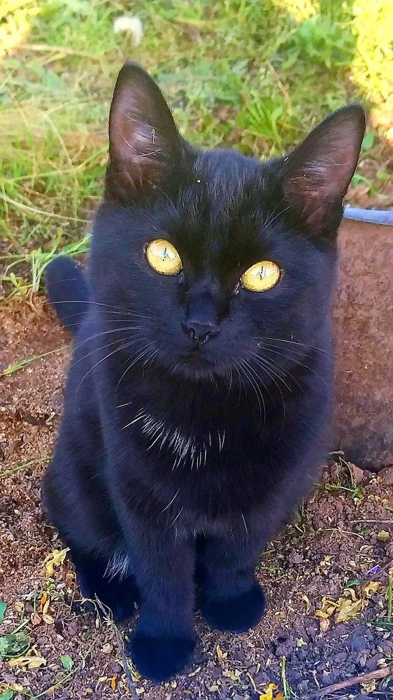 Photograph by Светлана Середина