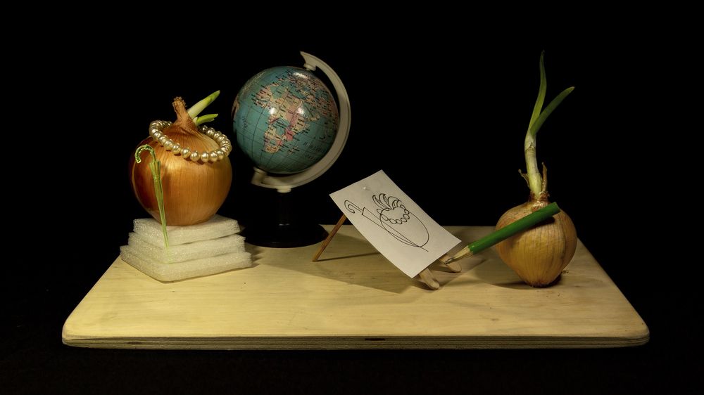 Портрет известной путешественницы