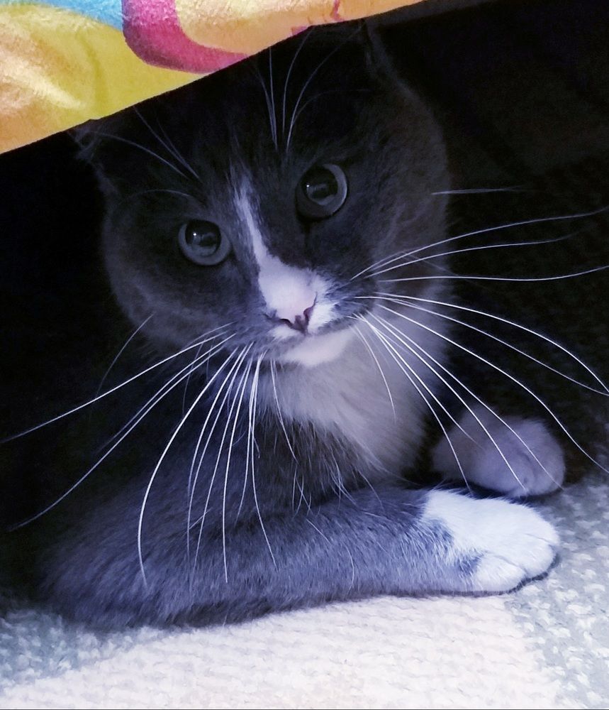 Photograph by Светлана Середина