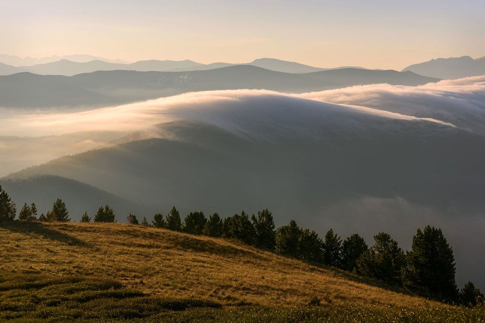 Туманные волны