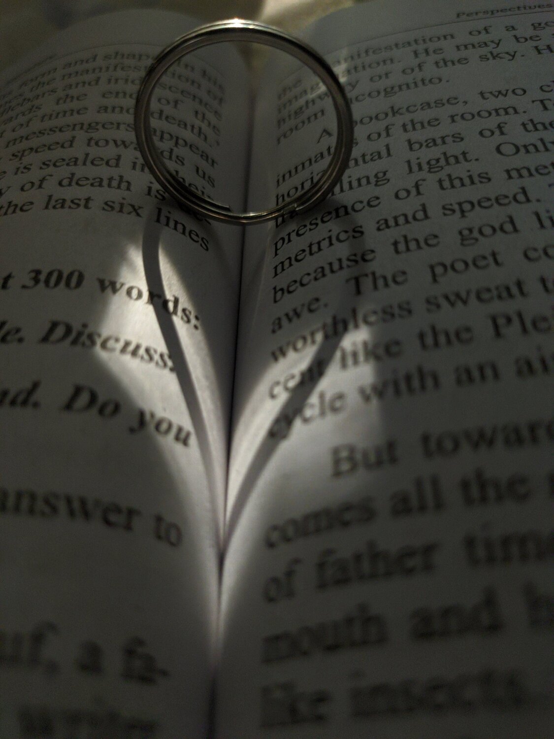 Photo #5599117