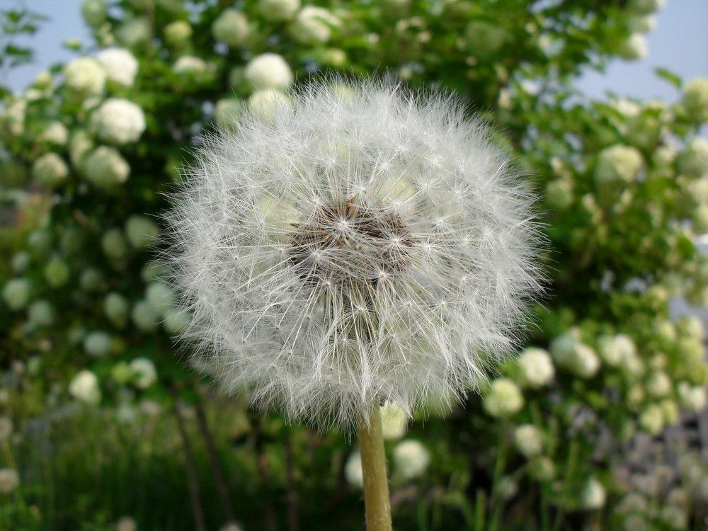 Photograph by Александр Антонов