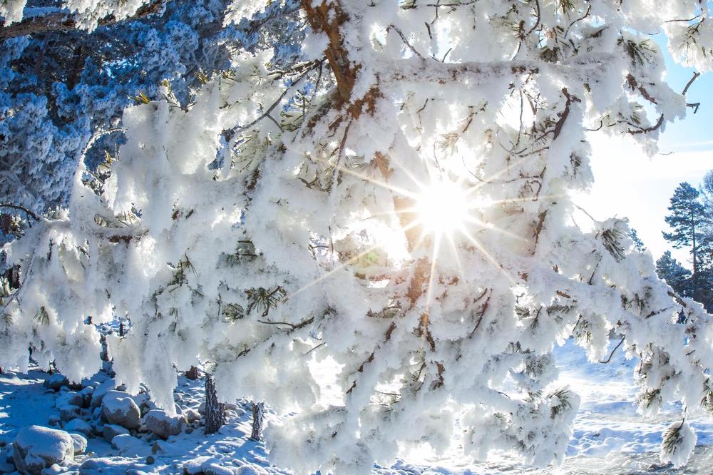 Зимнее солнце Сибири.