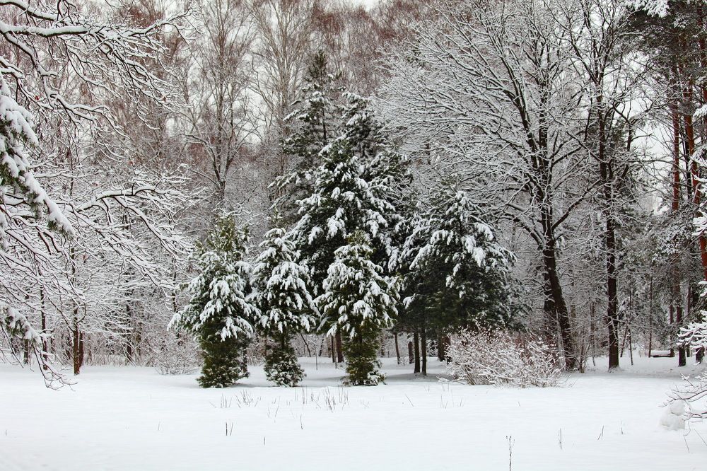 Photograph by Константин Лагоденко