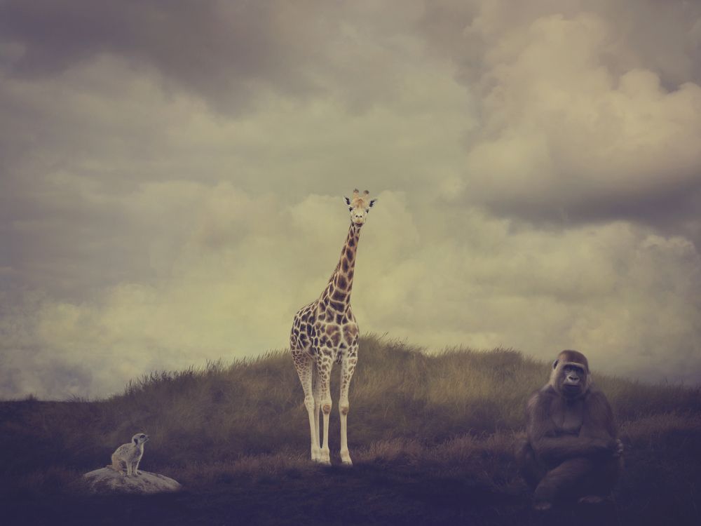 Photograph by mirka koot