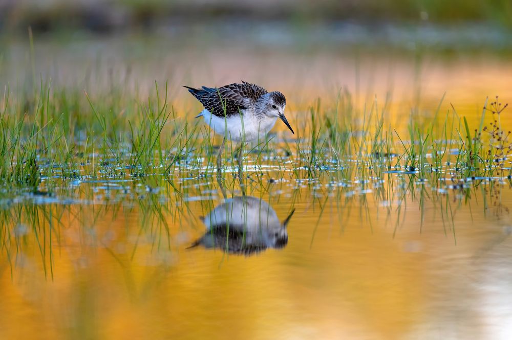 Фотография автора Гасич Татьяна