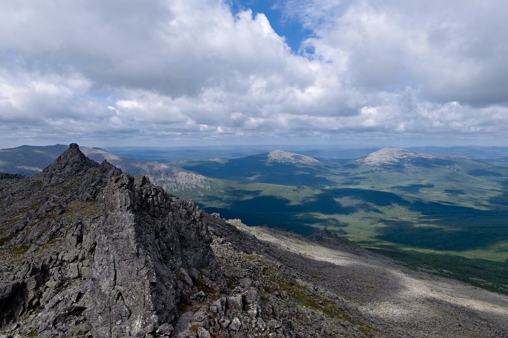 "Зеленые волны"