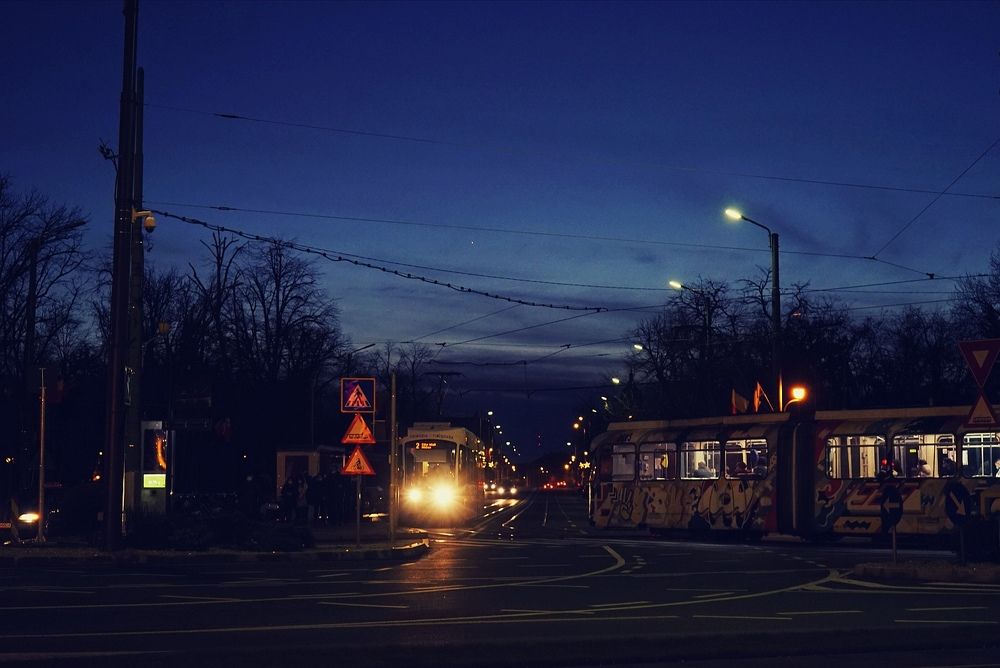 Фотография автора Adrian Vatamanu