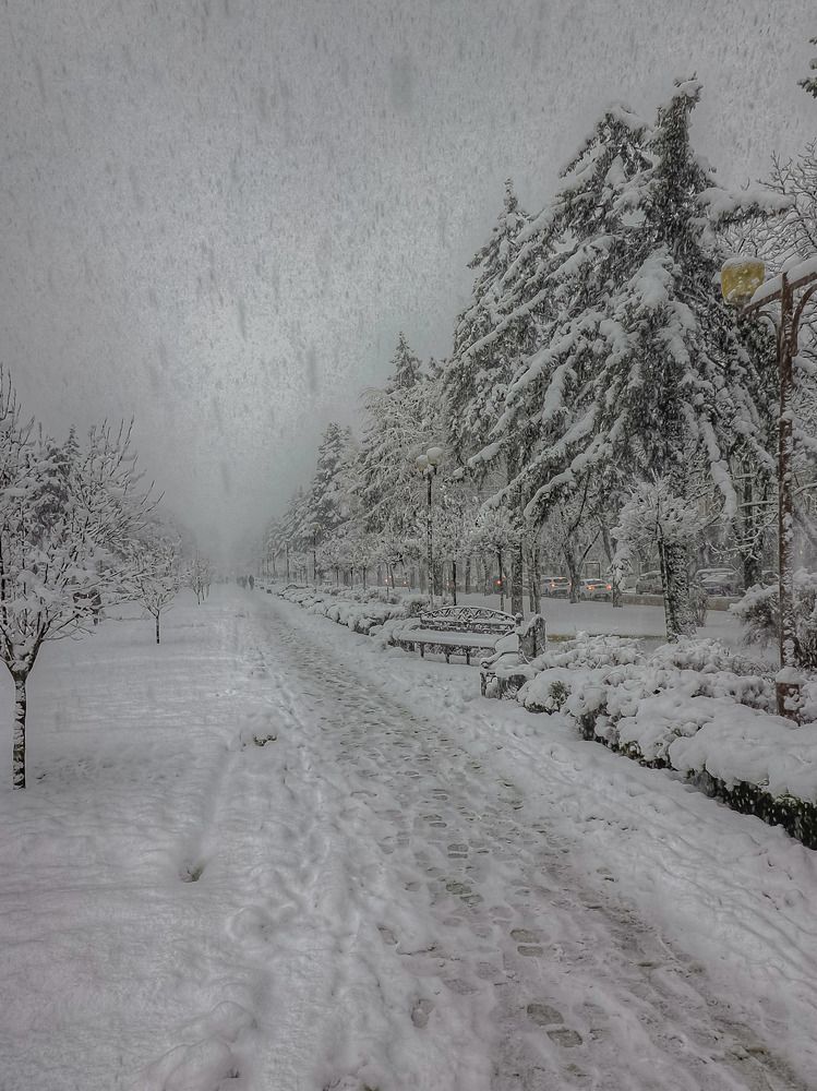 Photograph by Владимир Кульбит