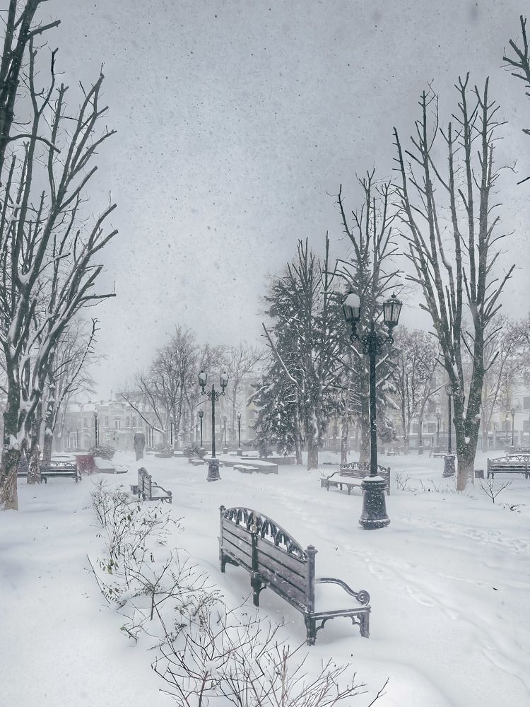 Photograph by Владимир Кульбит