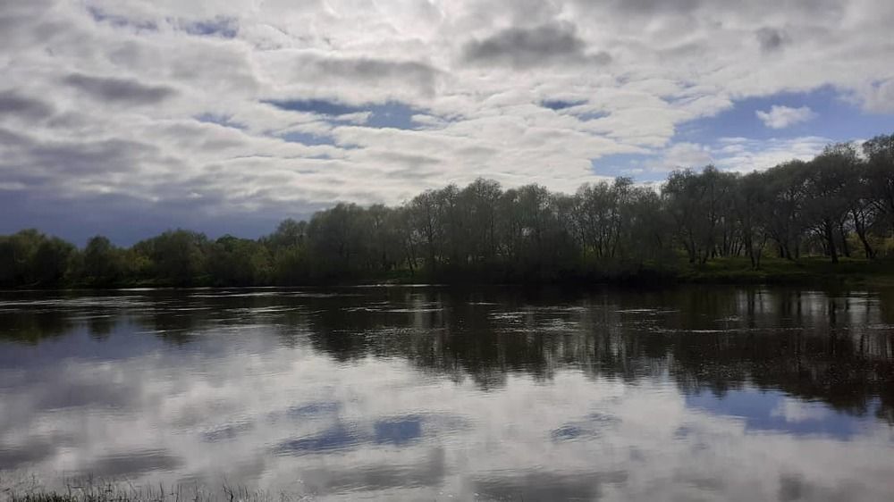 Photograph by Елена Лещева