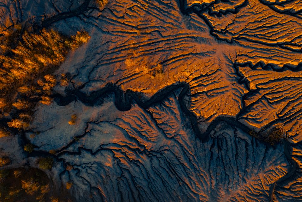 Фотография автора Гарбузов Илья