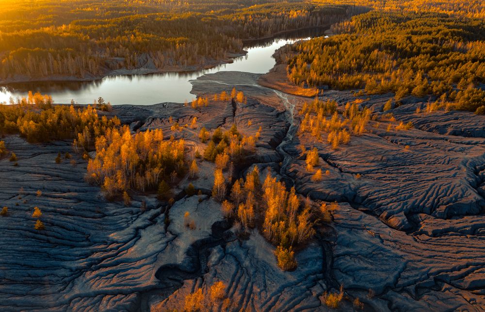 Фотография автора Гарбузов Илья