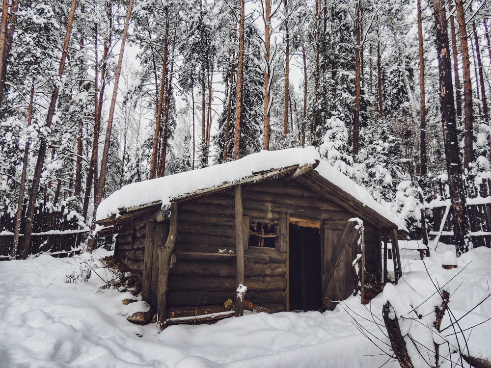 Photograph by Светлана Беспалко