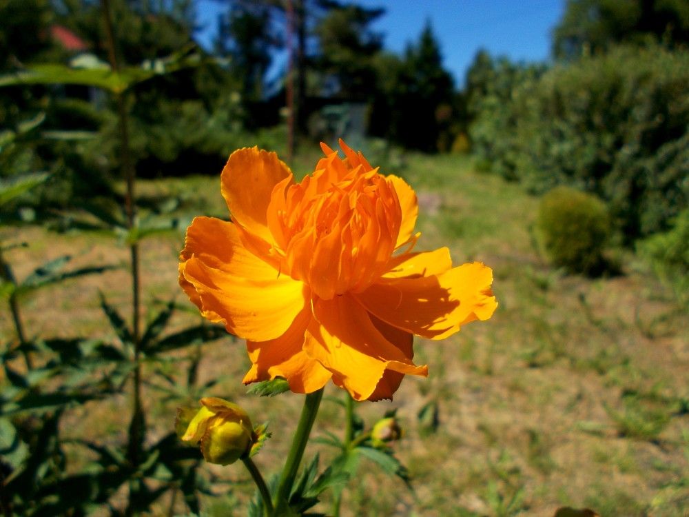 Photograph by Александр Антонов