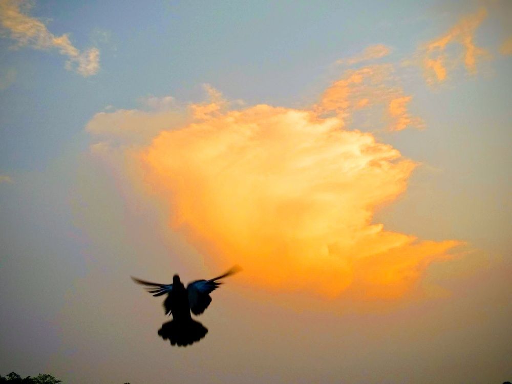Photograph by Purbasha Roy