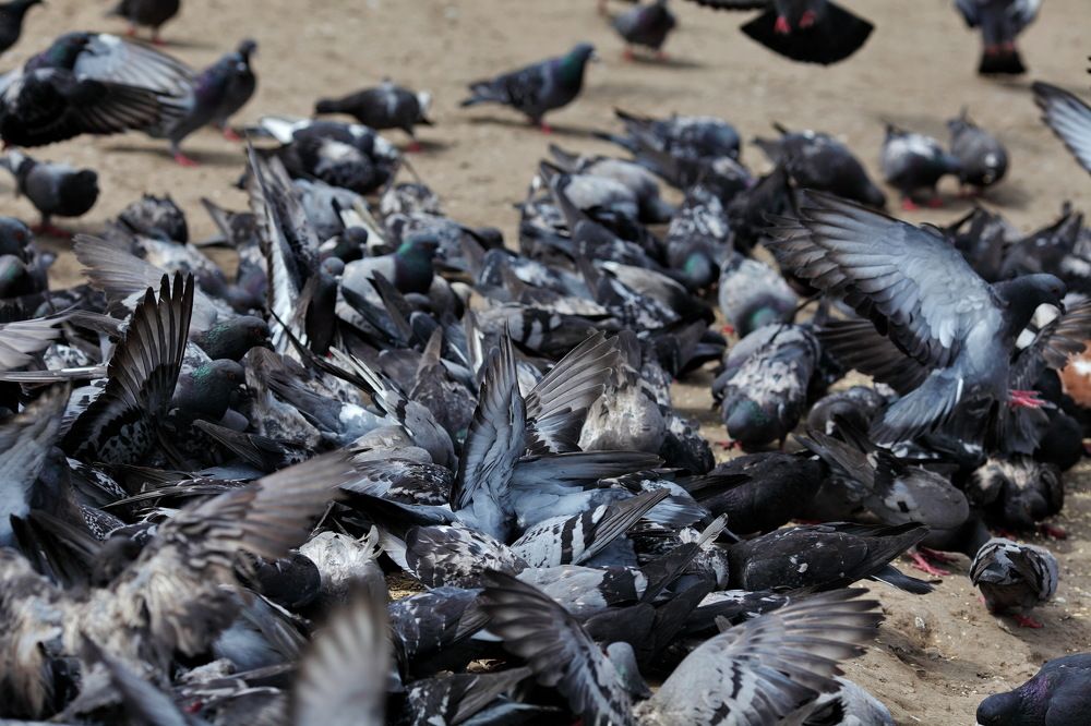 Photograph by Константин Лагоденко