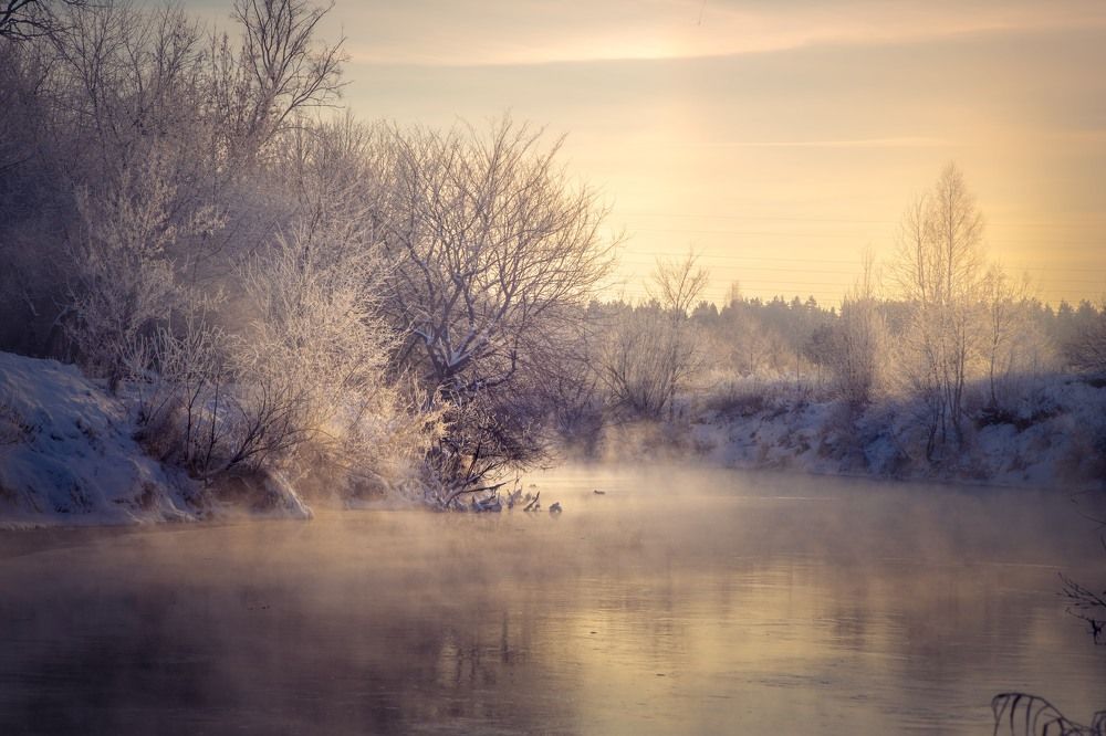 Photograph by Сергей Забиякин