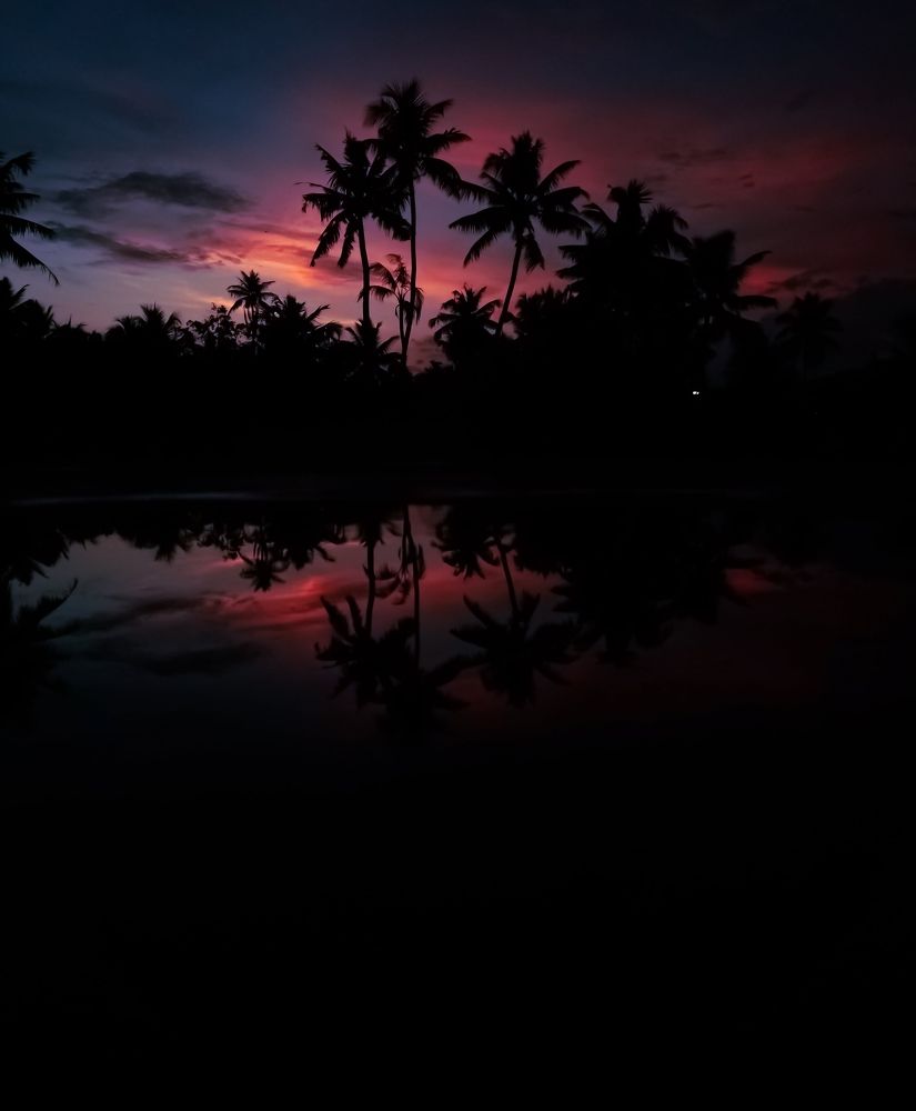 Photograph by Ratheesh Aadithiya