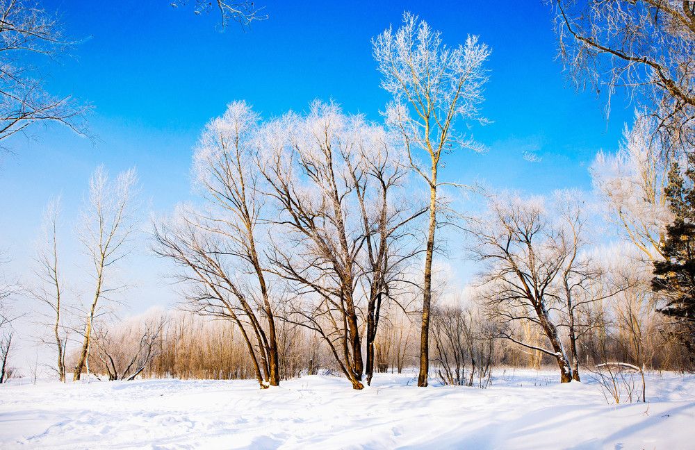 Photograph by Мария Кривошеенкова