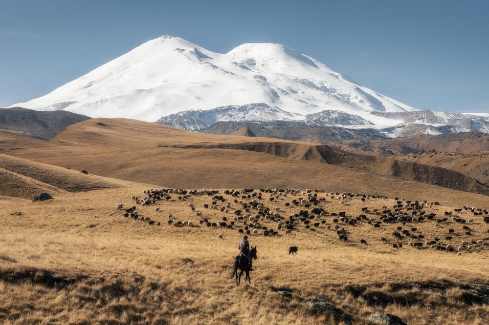 Photograph by Михаил Туркеев