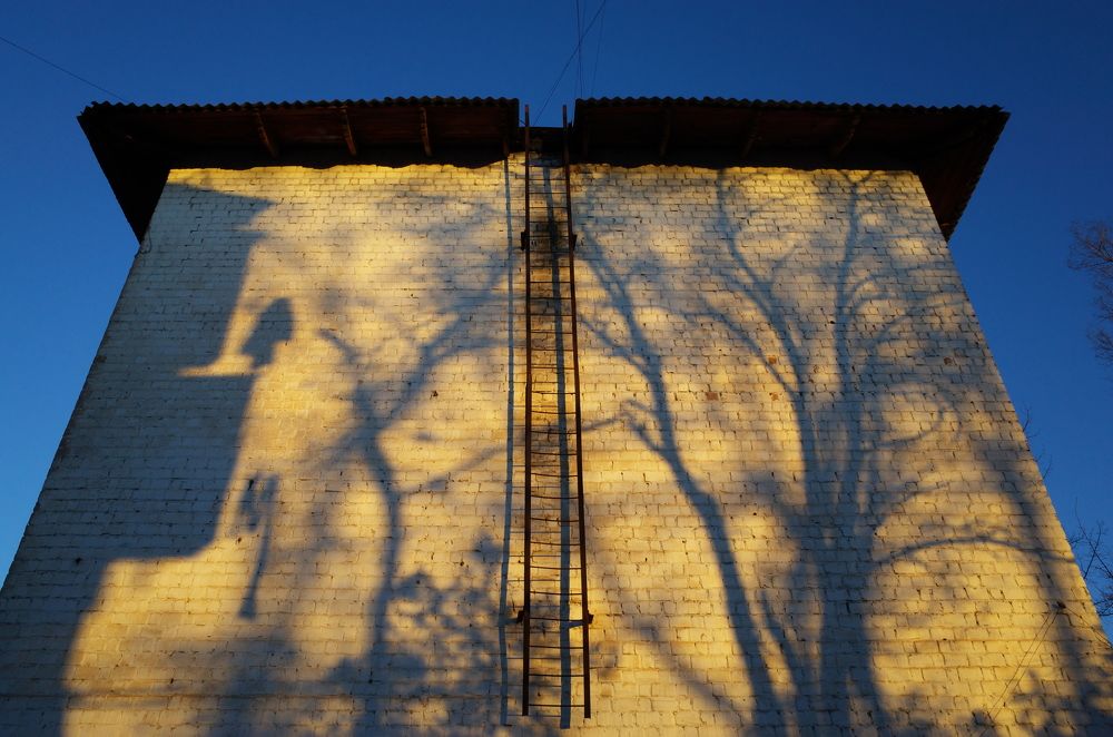 Без названия.