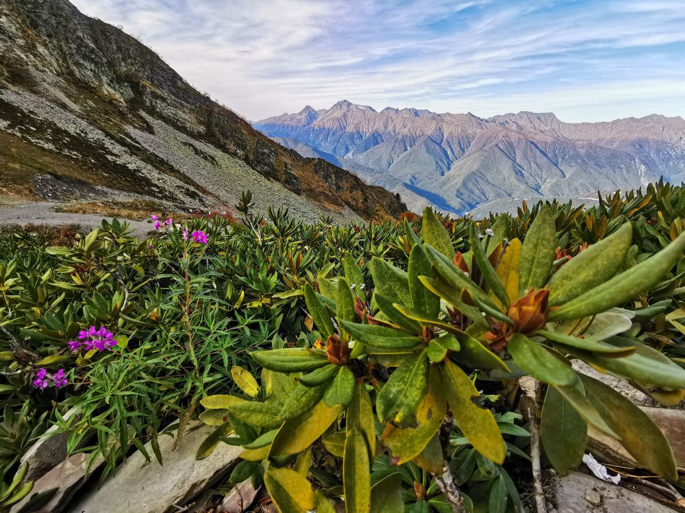Photograph by Галина Аскольдовна Луковникова