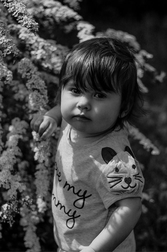 Photograph by Алиса Грюнвальд