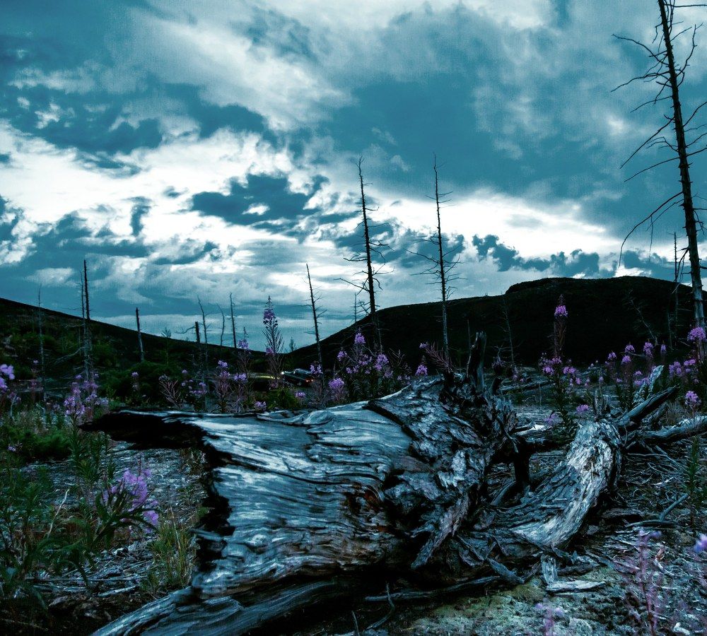 Photograph by Karasev Pavel