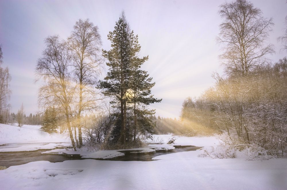 Photograph by Олег Менакер