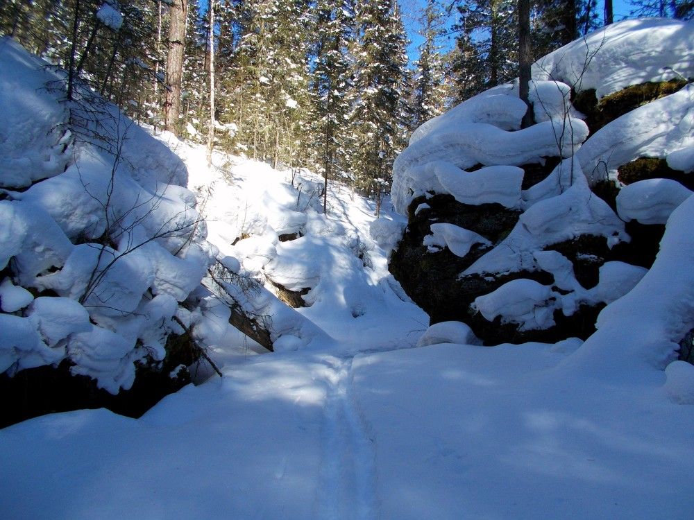 Photograph by Александр Антонов