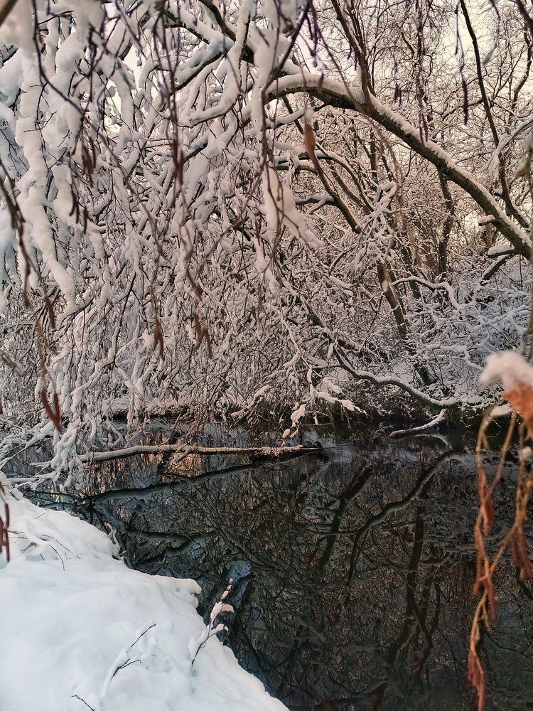 Photograph by Евгения Лушенкова