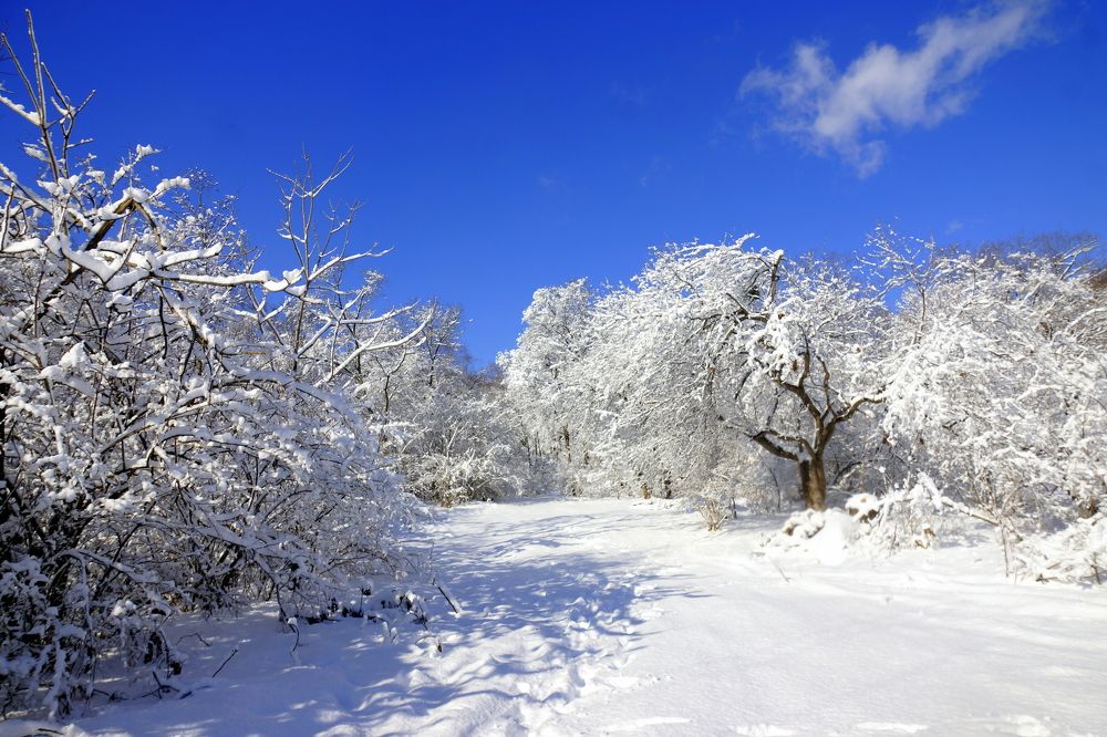 Photograph by Виктор Игнатенко.