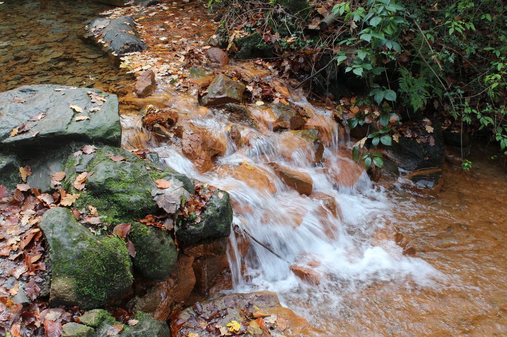 Photograph by Viktor Dikmann