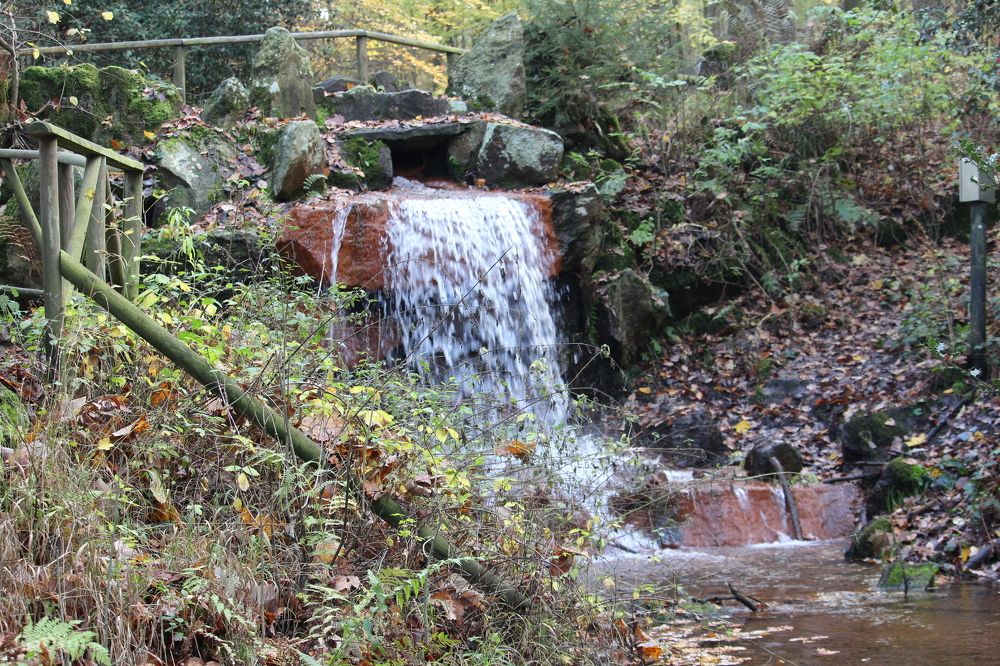 Photograph by Viktor Dikmann