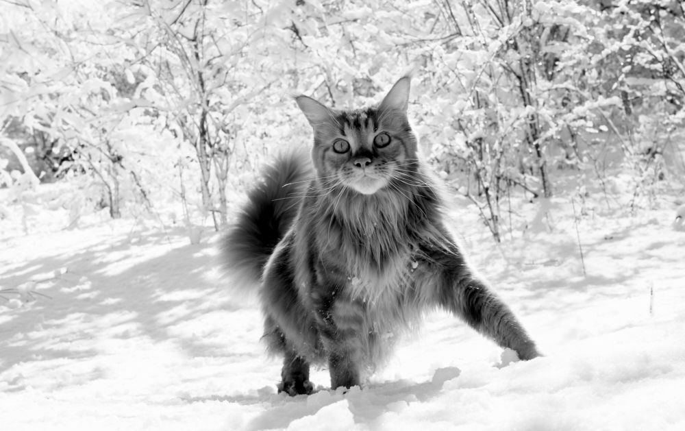 Photograph by Виктор Игнатенко.