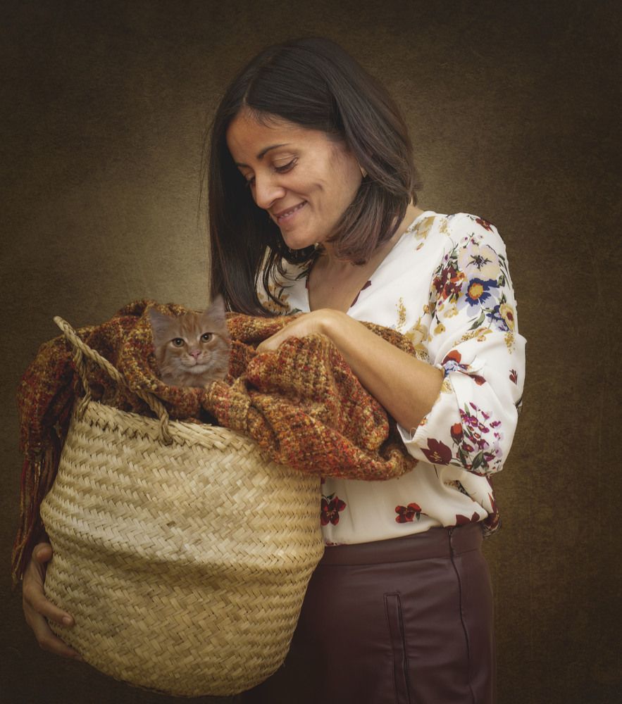 The car in the basket