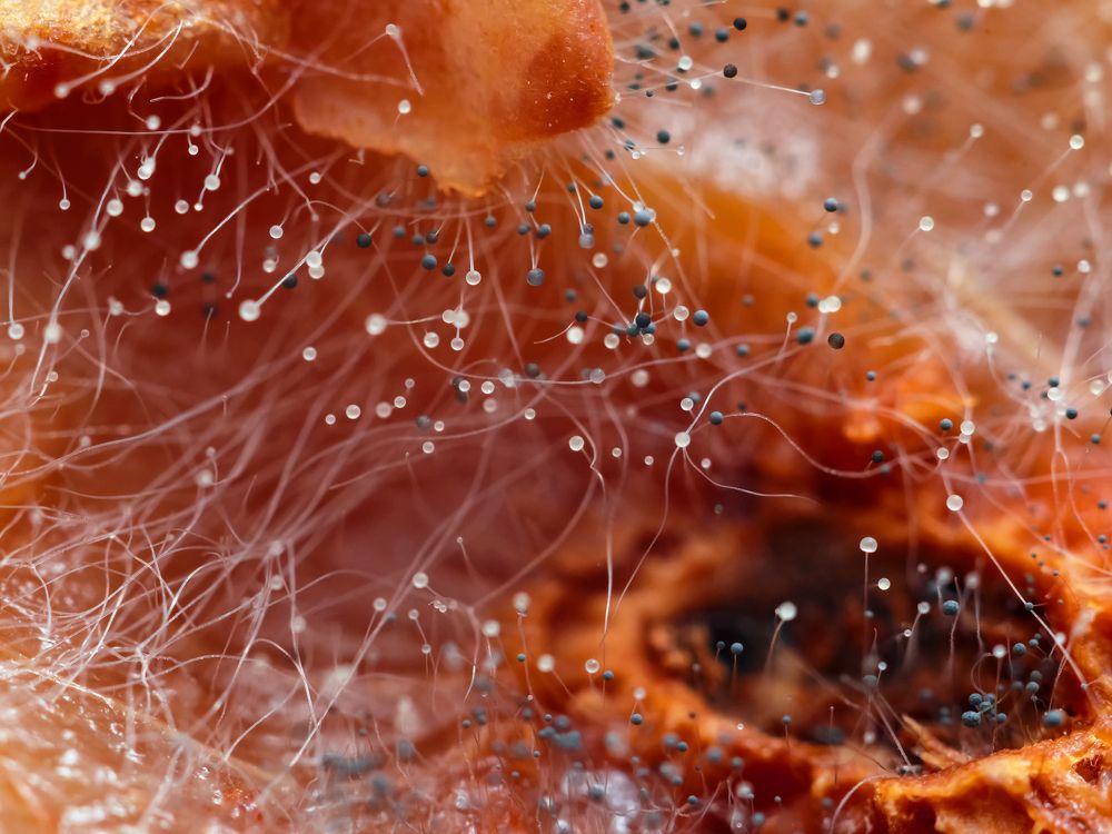 Photograph by Yuliia Nazarova