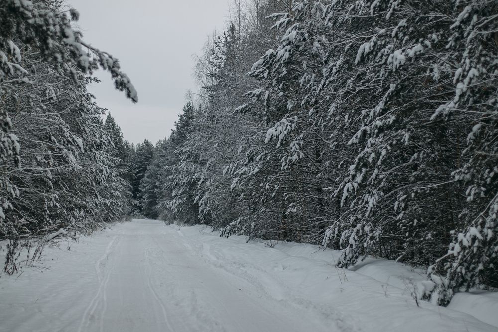 Photograph by Татьяна