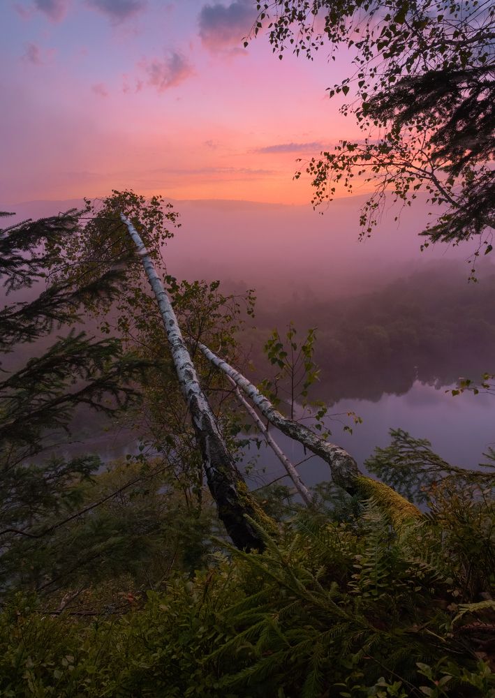 .. в новый день !