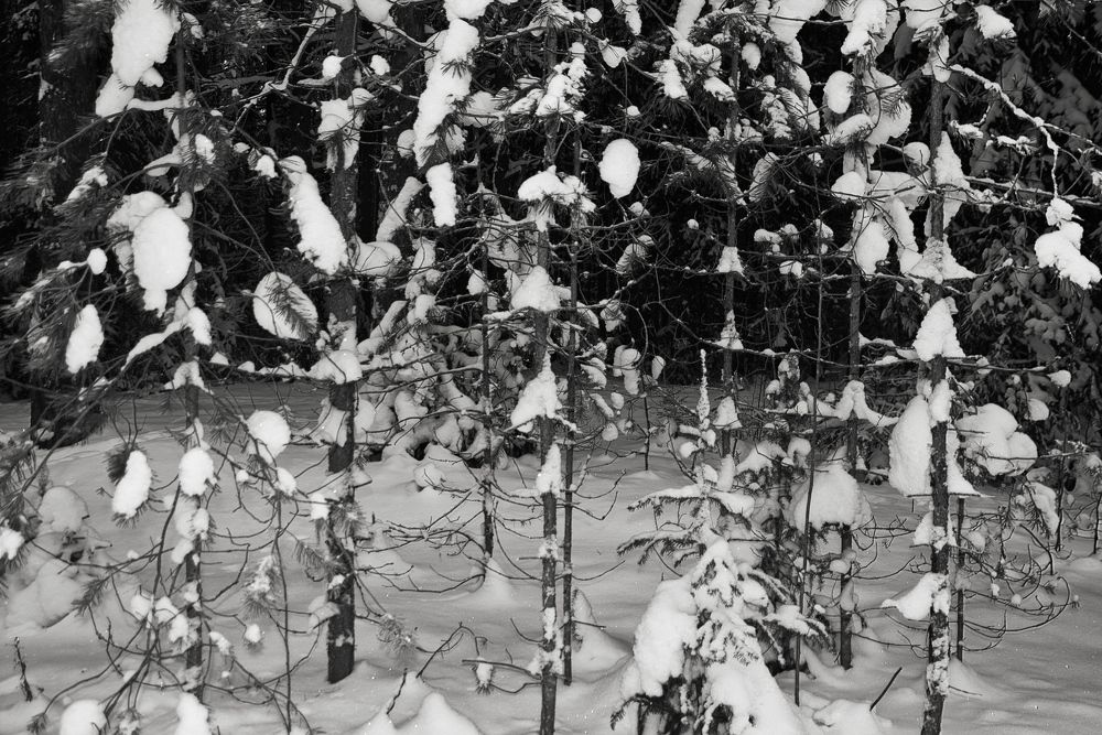 Photograph by Безногов Денис