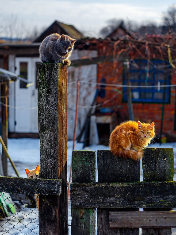 Photograph by Демагин Антон