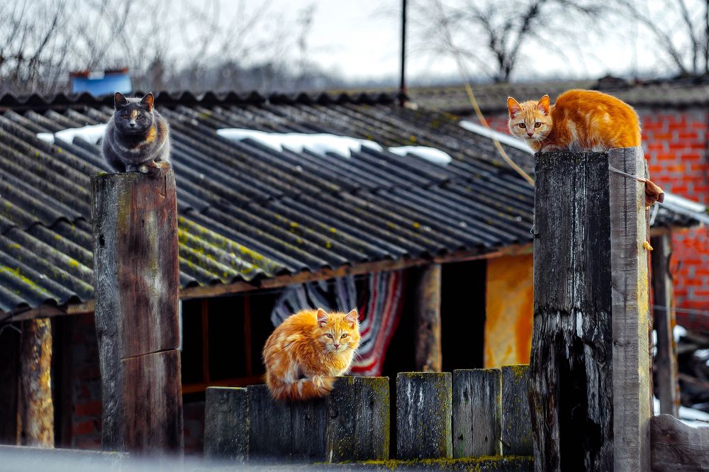 Photograph by Демагин Антон